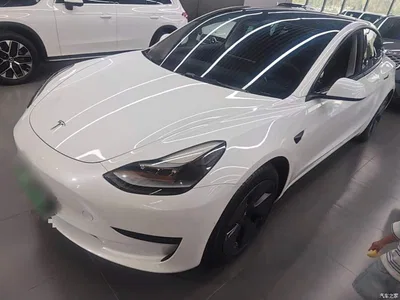 2022 Tesla Model 3 Model Rear-Wheel Drive Version, фото 1, лот 10369908