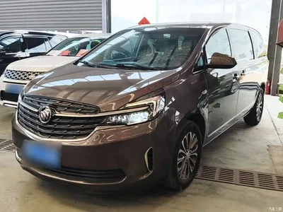 2022 Buick GL8 Land Business Class 652T Luxury, фото 1, лот 10262103