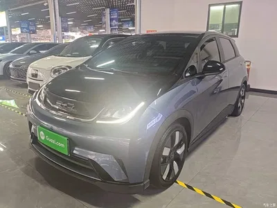 2023 BYD Dolphin 401km Knight Edition, фото 1, лот 11502576
