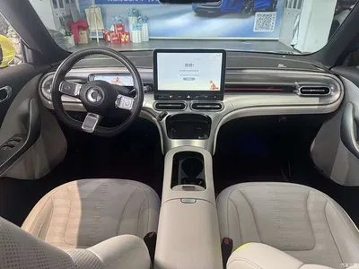 2022 smart Elf #1 Pro+ Edition, фото 4, лот 10342959