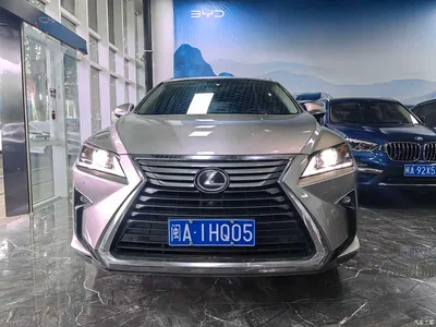 2016 Lexus RX 300 2WD Elite Edition (China V), фото 2, лот 10314367