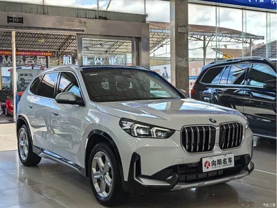 2023 BMW X1 sDrive20Li X Design Package, фото 2, лот 10465667