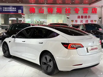 2021 Tesla Model 3 Standard Range Rear-Wheel Drive Upgrade 3D6, фото 3, лот 10406641