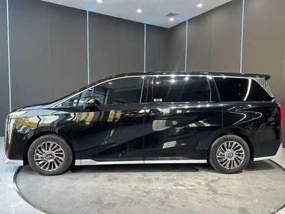 2024 GAC Trumpchi Trumpchi M8 Patriarch Series 400T Ultimate Edition, фото 4, лот 10414773