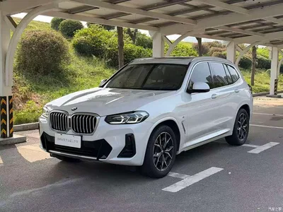 2022 BMW X3 xDrive25i M Sport Package, фото 1, лот 11141897