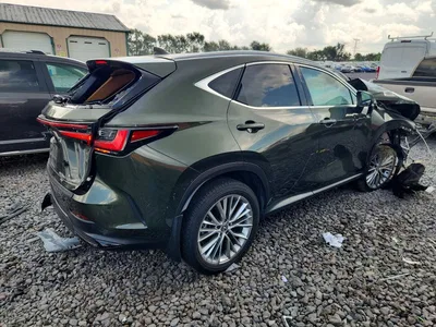2025 LEXUS NX 350H, фото 3, лот 10900599