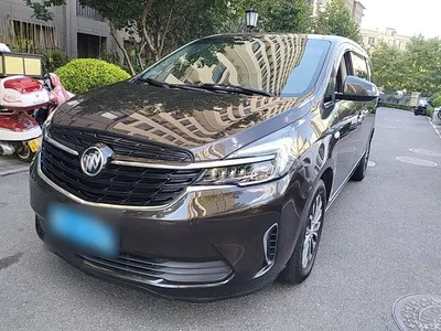 2021 Buick GL8 Land Business Class 652T Luxury, фото 1, лот 10258145