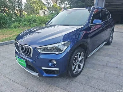 2019 BMW X1 sDrive18Li Premium Model, фото 2, лот 10594766