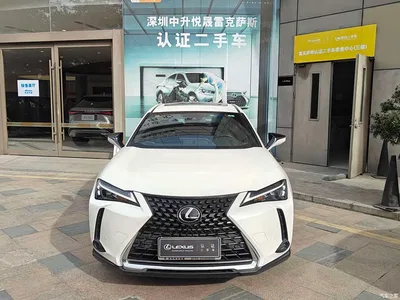 2022 Lexus UX 260h Fun Edition, фото 4, лот 10436442