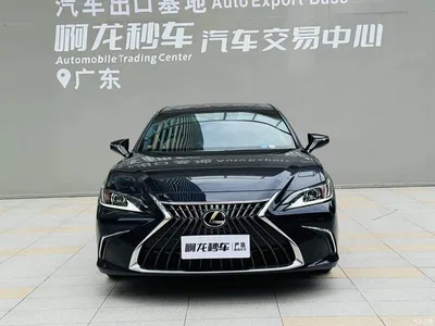 2022 Lexus ES 300h Excellence Edition, фото 2, лот 10311926