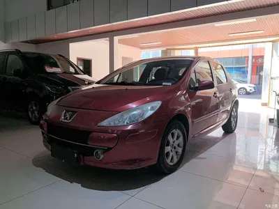 2010 Peugeot 307 Model Hatchback 1.6L Automatic Luxury Edition, фото 1, лот 11579925