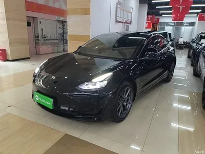 2022 Tesla Model 3 Model Rear-Wheel Drive Version, фото 2, лот 11074258