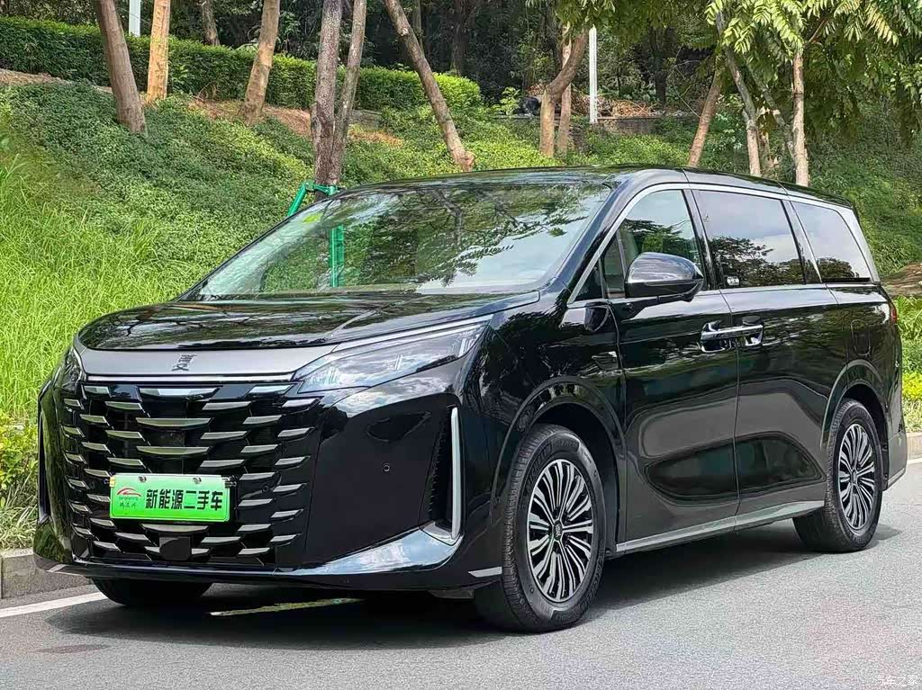 2025 BYD Xia DM-i 1.5T 180km Surpass Edition, фото 1, лот 10275321