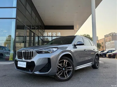 2023 BMW X1 sDrive25Li M Sport Package, фото 2, лот 10307329