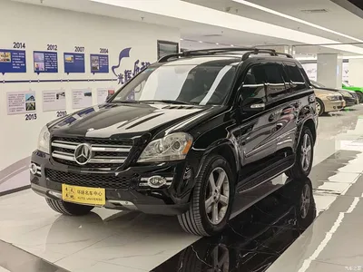 2009 Mercedes-Benz GL-Class, фото 1, лот 11095669
