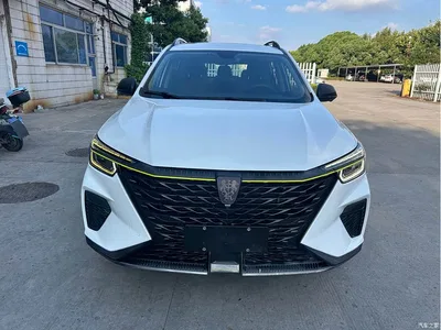 2021 Roewe RX5 New Energy Model ePLUS National Trend Ronglin Luxury Edition, фото 1, лот 10338934