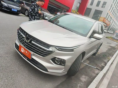 2020 Wuling Motors Wuling Victory 1.5T CVT Premium Edition, фото 1, лот 11248180