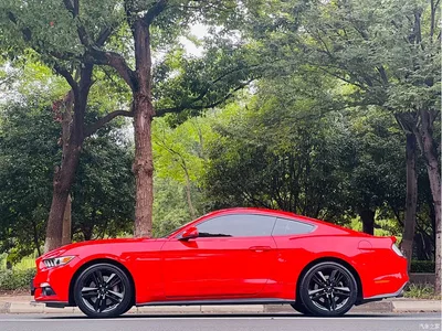 2017 Ford Mustang 2.3T Performance Edition, фото 3, лот 10829282
