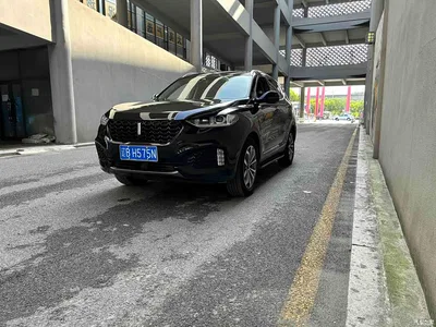 2018 WEY VV6 2.0T 4WD Flagship China V, фото 4, лот 10451854