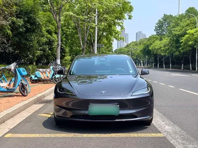 2025 Tesla Model 3 Model Rear-Wheel Drive Edition, фото 2, лот 10368339