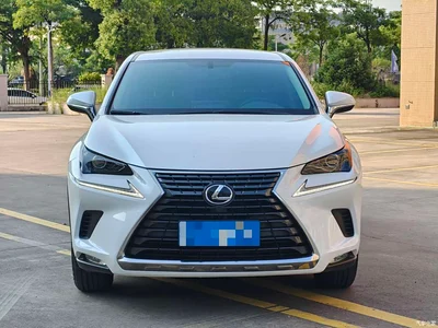 2020 Lexus NX 200 FWD Fengyi Edition China VI, фото 2, лот 10841841