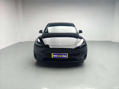 2023 Tesla Model Y Rear-Wheel Drive Edition, фото 2, лот 10449778