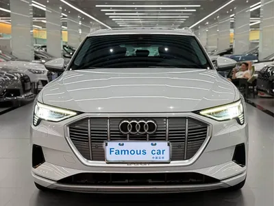 2019 Audi e-tron (Import) 55 quattro Technology, фото 2, лот 10482497