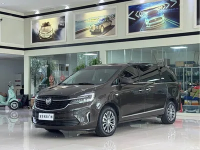 2022 Buick GL8 Land Business Class 652T Prestige, фото 1, лот 11243466