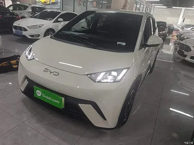 2024 BYD Seagull Glory Edition 305km Freedom Edition, фото 2, лот 11396388