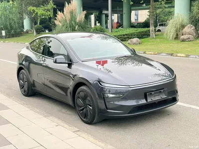 2025 Tesla Model Y Rear-Wheel Drive, фото 3, лот 11565516