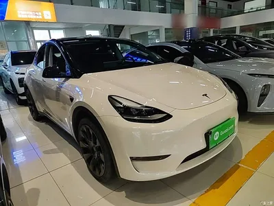 2021 Tesla Model Y Standard Range Rear-Wheel Drive, фото 4, лот 10369931
