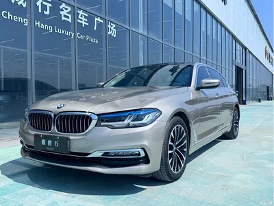 2018 BMW 5 Series Facelift 530Li xDrive Luxury Package, фото 1, лот 10671162