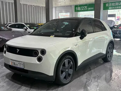 2025 Firefly Firefly Luminescent Edition, фото 1, лот 10385030