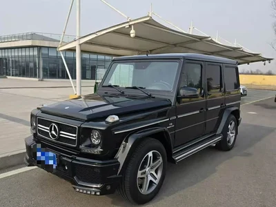 2009 Mercedes-Benz G-Class AMG AMG G 55, фото 1, лот 10300422