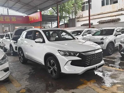 2023 BYD Song Pro New Energy Champion Edition DM-i 110KM Excellence, фото 3, лот 10272954