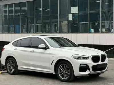 2019 BMW X4 xDrive25i M Sport Package, фото 3, лот 10696763
