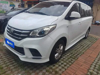 2021 SAIC Maxus Maxus G10 2.0T Automatic Smart Edition Gasoline 7-Seater, фото 1, лот 11160980