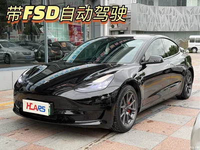 2020 Tesla Model 3 Standard Range Rear-Wheel Drive Upgrade, фото 1, лот 11510007