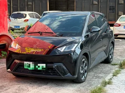 2024 BYD Seagull Glory Edition 405km Soaring Edition, фото 1, лот 10817287