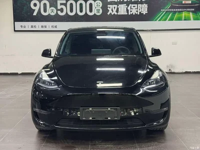 2021 Tesla Model Y Model Long Range AWD, фото 2, лот 11141612