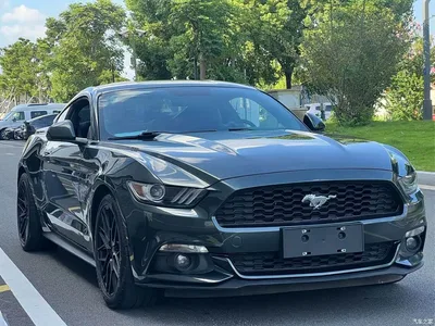 2015 Ford Mustang 2.3T Performance Edition, фото 3, лот 10401318