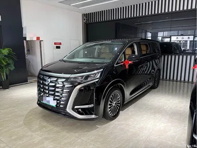 2022 Denza D9 DM-i 970 All-Wheel Drive Honor Edition, фото 1, лот 11189185