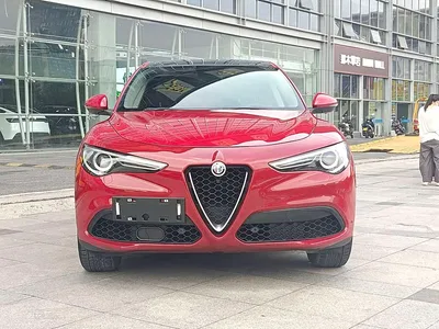 2017 Alfa Romeo Stelvio 2.0T 200HP Elite, фото 2, лот 11196589