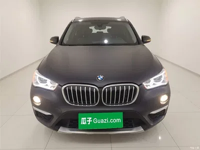 2016 BMW X1 sDrive20Li Luxury Model, фото 3, лот 10467885