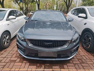 2021 Geely Xing Rui 2.0TD Luxury, фото 3, лот 10357954