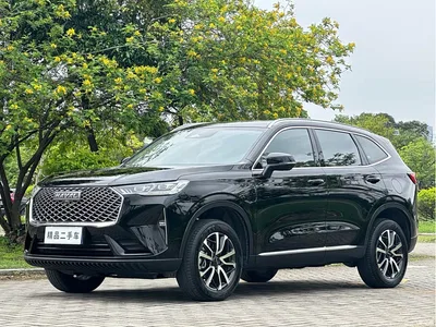 2022 Haval H6 3rd Gen 1.5T Auto 2WD Max, фото 1, лот 10765126