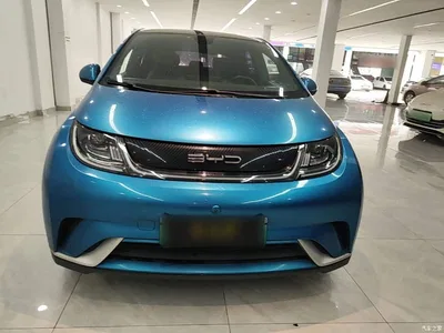 2021 BYD Dolphin Model 405km Fashion Edition, фото 3, лот 11518818