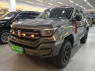 2024 Tank 400 New Energy Hi4-T Off-Road Edition, фото 1, лот 10345400