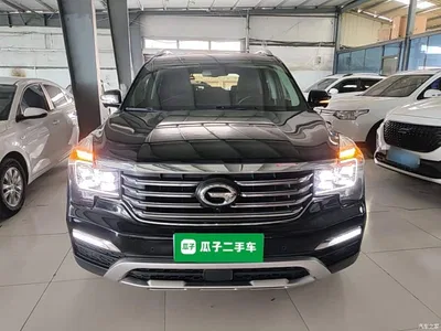 2017 GAC Trumpchi Trumpchi GS8 320T 2WD Luxury Smart Connect (7-seater), фото 3, лот 11582935