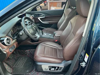 2020 WEY VV7 Model 2.0T Flagship, фото 4, лот 10450965